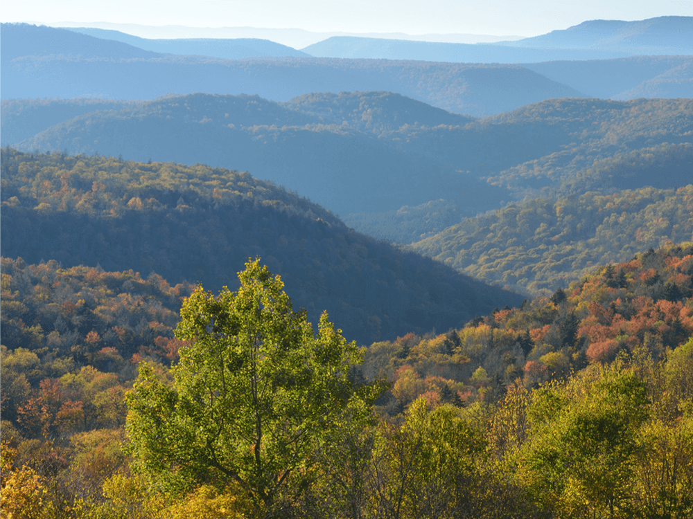 West Virginia mountains and forests